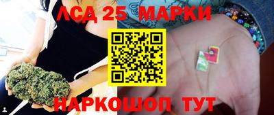 мет Можга