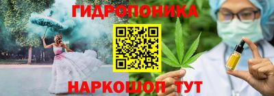 мет Можга