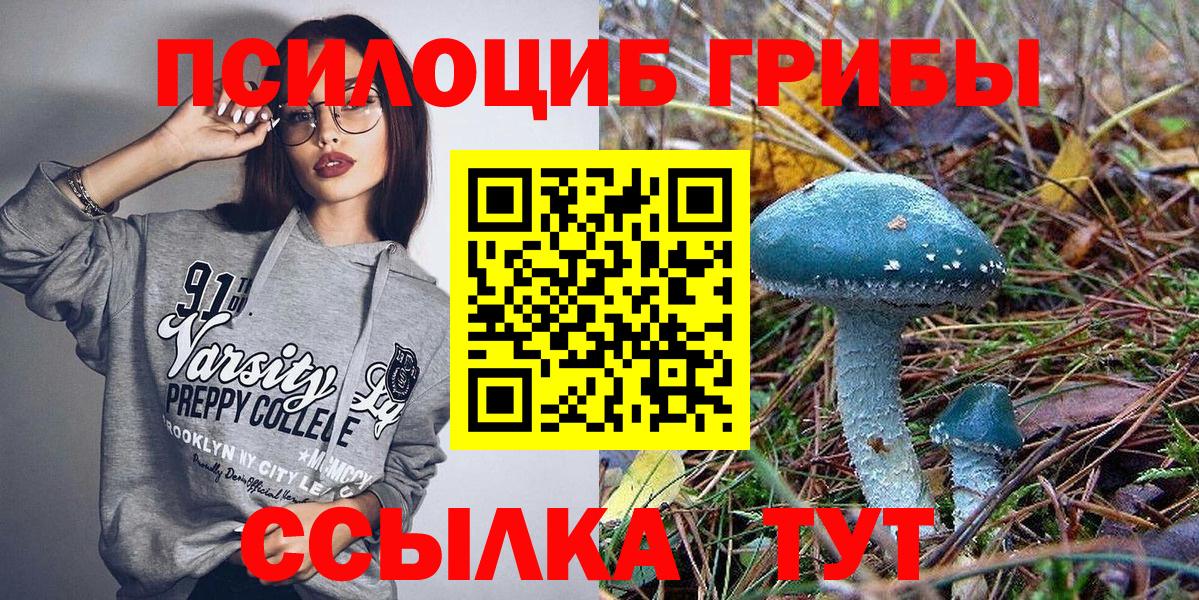 Галлюциногенные грибы GOLDEN TEACHER Славгород