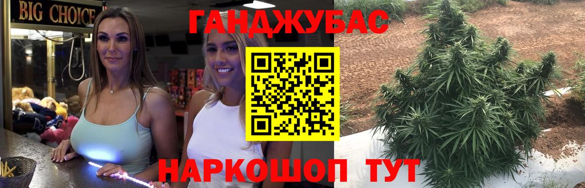 Бошки марихуана сатива  Вход с VPN  Славгород  Бошки Шишки SATIVA & INDICA  Канабис VHQ 